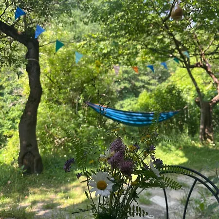 Vegan Colle Della Luna 3* Borgo Pace