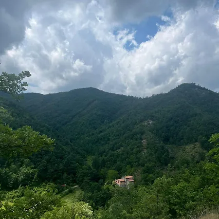 Vegan Colle Della Luna 3*